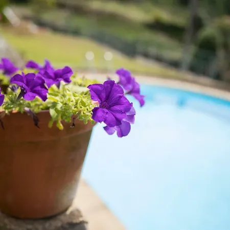 Villa Casa Da Casada Rural - Foz Do Douro By Lw *