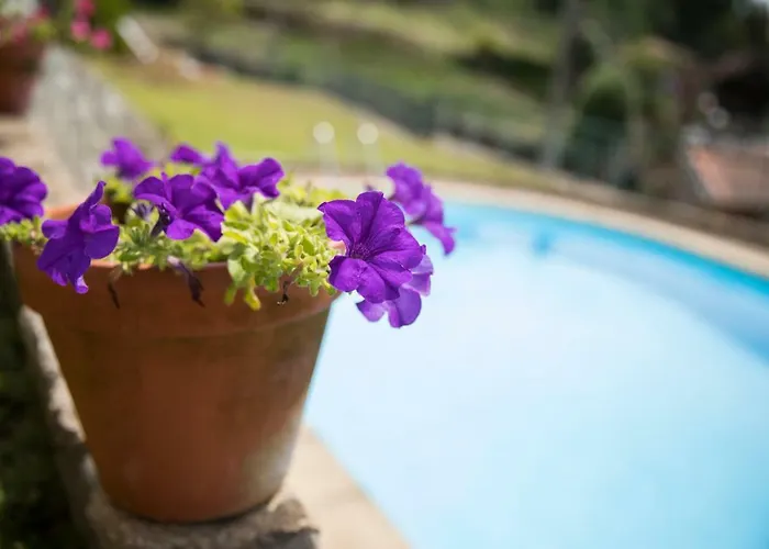 ヴィラ Casa Da Casada Rural - Foz Do Douro By Lw *